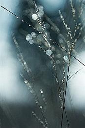 《赛博朋克2077》照片模式强化Mod 去除限制添新功能